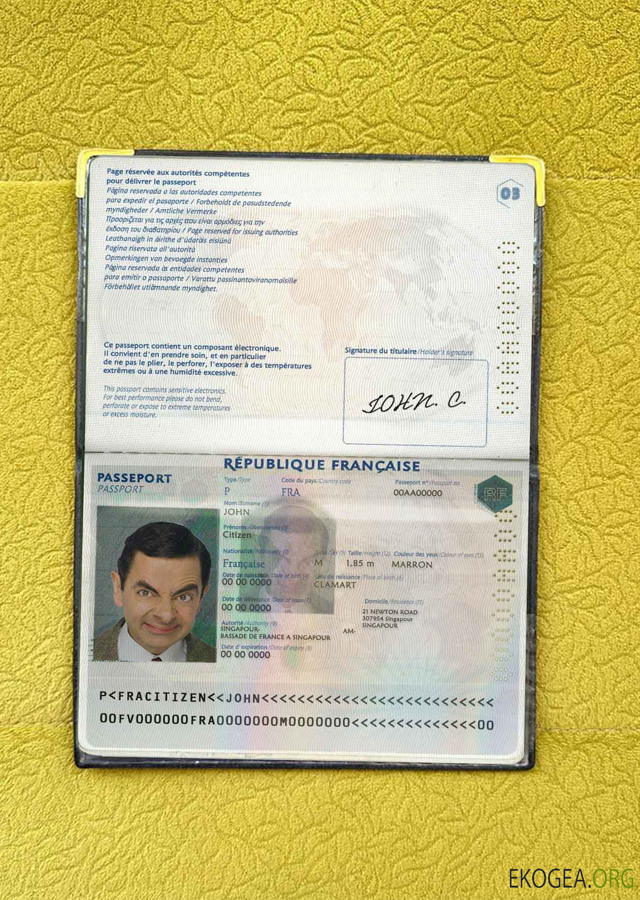 Look photo du passeport français template Look photo du passeport français template